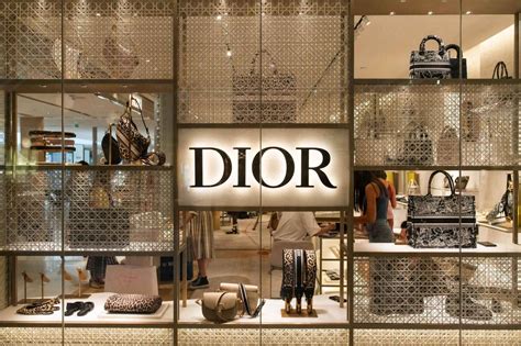 betekenis dior|facts about the brand Dior.